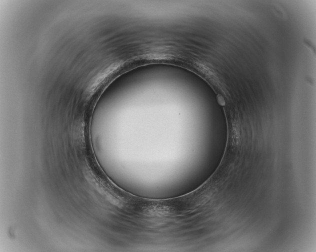 X0000102840535200808251158