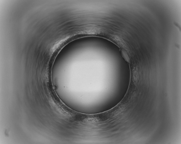 X0000102840536200808251158