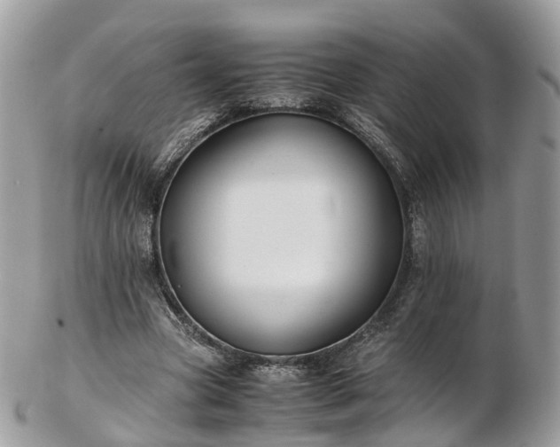 X0000102840537200808251158