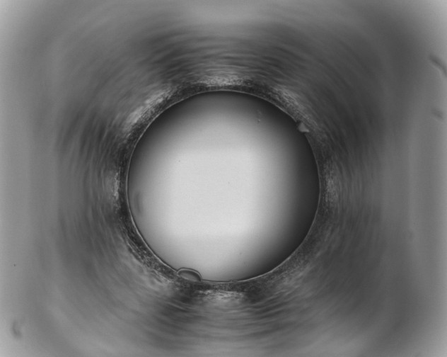 X0000102840539200808251158