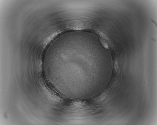 X0000102840540200808251158