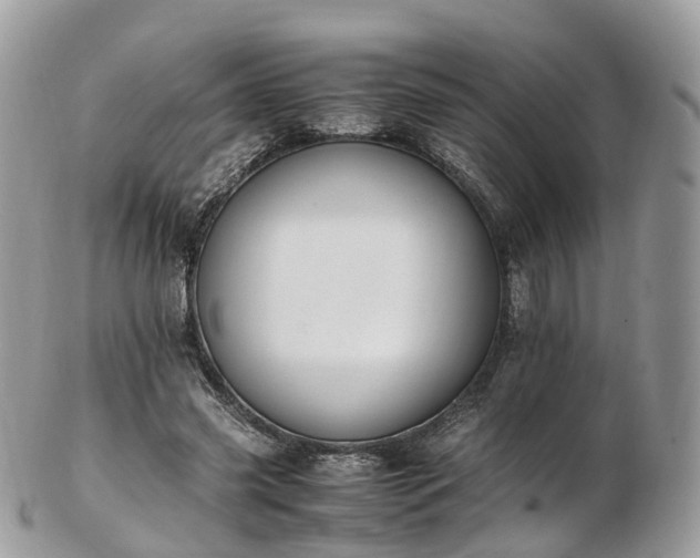 X0000102840541200808251158