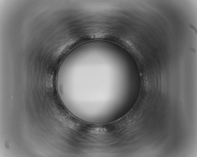 X0000102840543200808251158