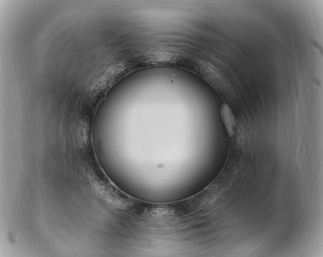 X0000102840546200808251158