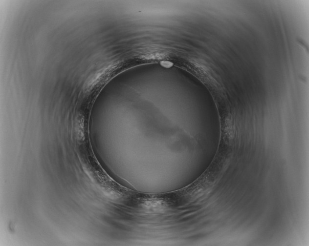 X0000102840547200808251158