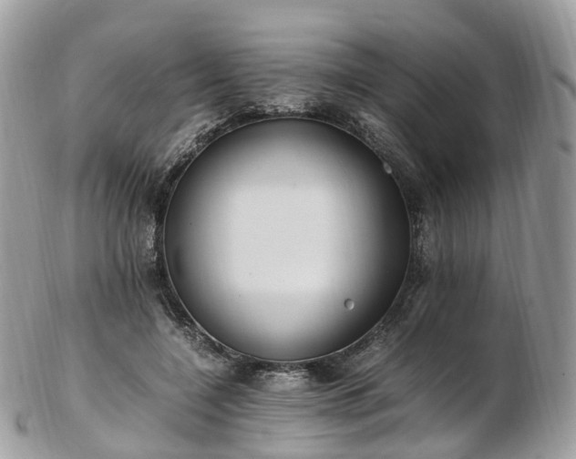 X0000102840548200808251158