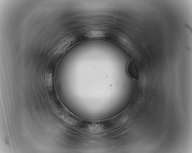 X0000102840549200808251158