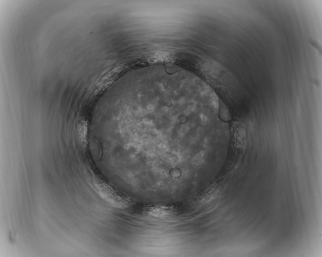 X0000102840550200808251158