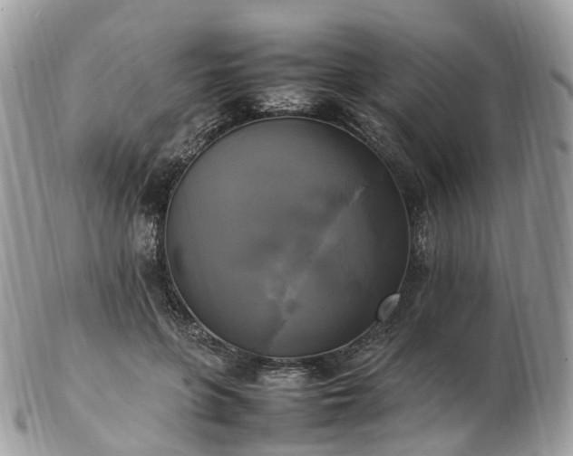 X0000102840551200808251158