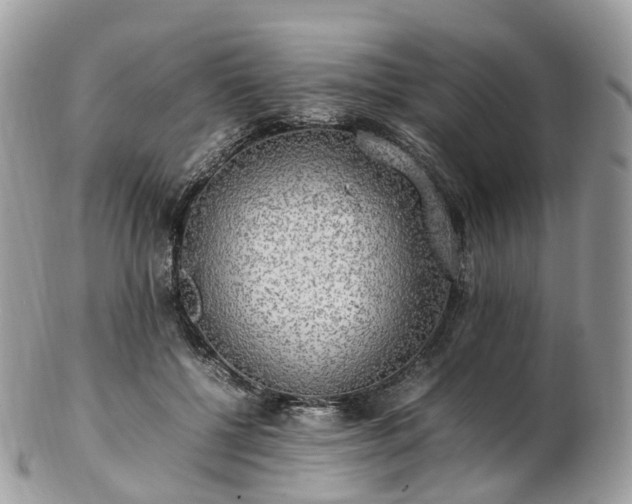 X0000102840552200808251158