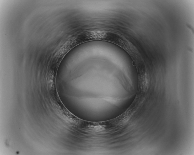 X0000102840553200808251158