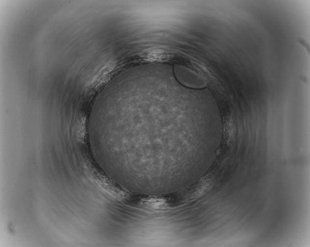 X0000102840554200808251158