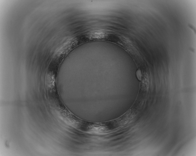 X0000102840555200808251158