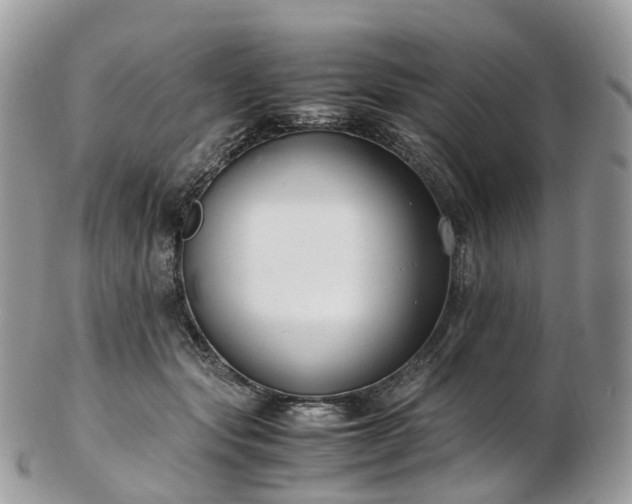 X0000102840557200808251158