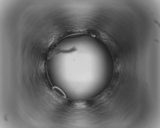 X0000102840560200808251158