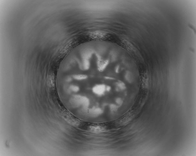 X0000102840561200808251158