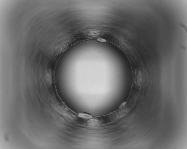 X0000102840562200808251158