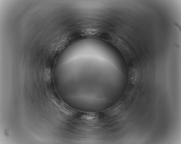 X0000102840563200808251158