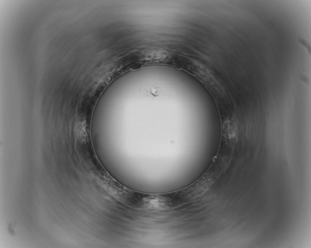 X0000102840564200808251158