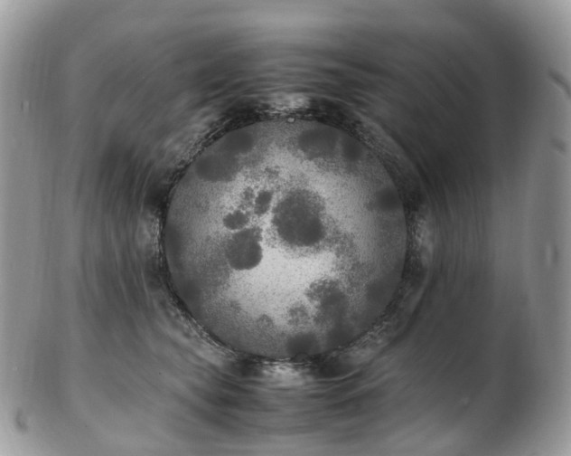 X0000102840565200808251158