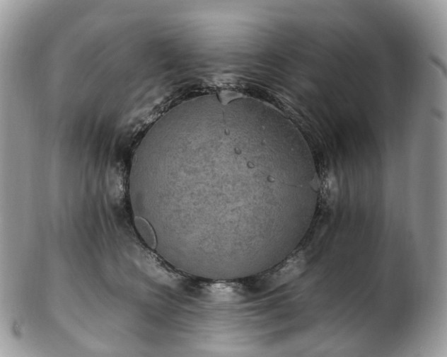 X0000102840566200808251158