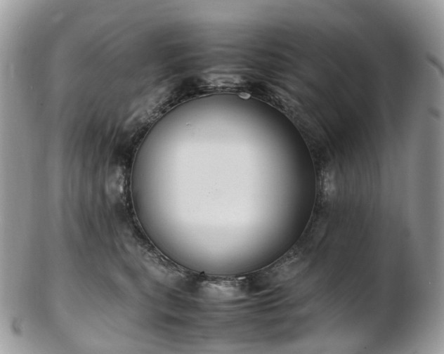 X0000102840567200808251158