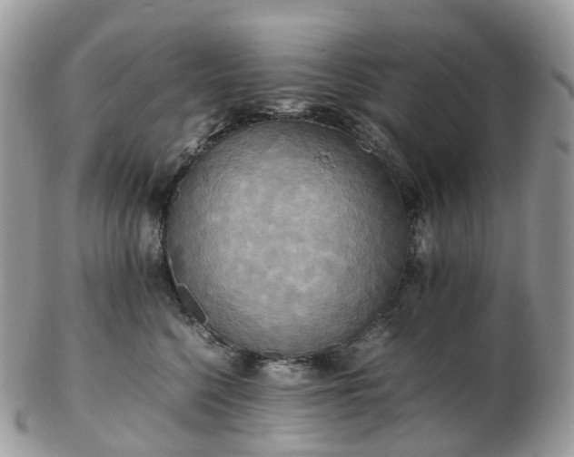 X0000102840568200808251158