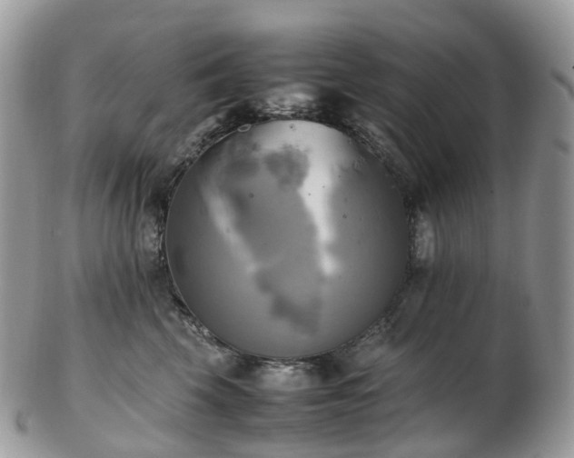 X0000102840569200808251158