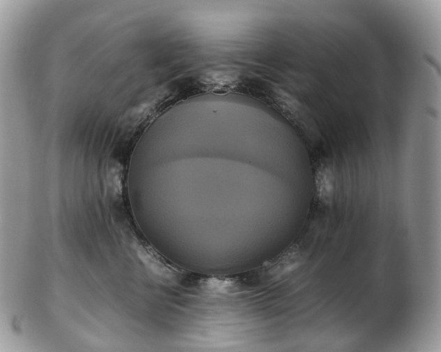 X0000102840570200808251158