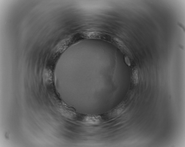 X0000102840571200808251158