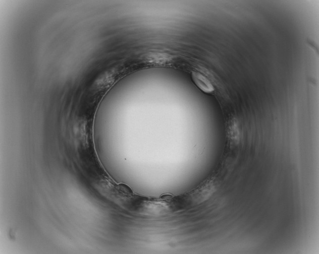 X0000102840572200808251158