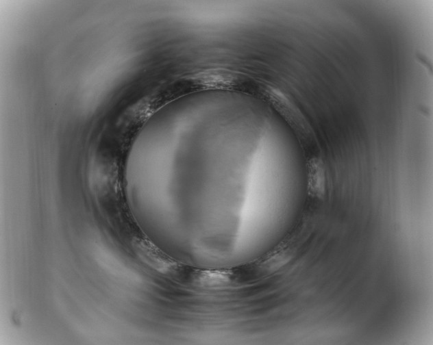 X0000102840573200808251158