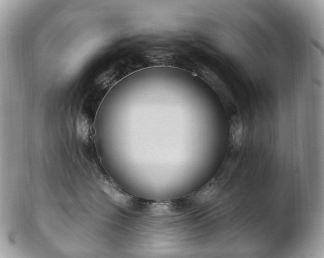 X0000102840574200808251158