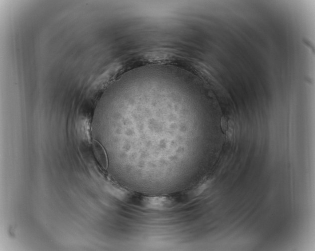 X0000102840575200808251158