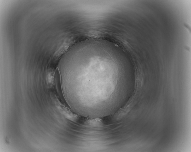 X0000102840576200808251158