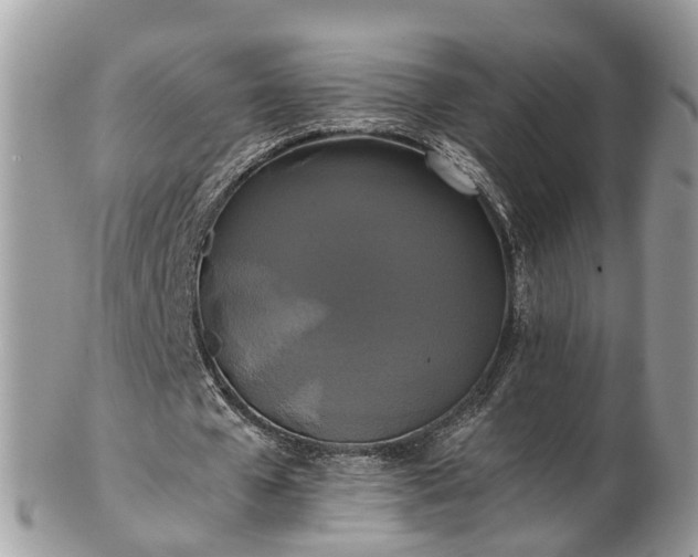 X0000102840577200808251158