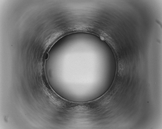 X0000102840578200808251158