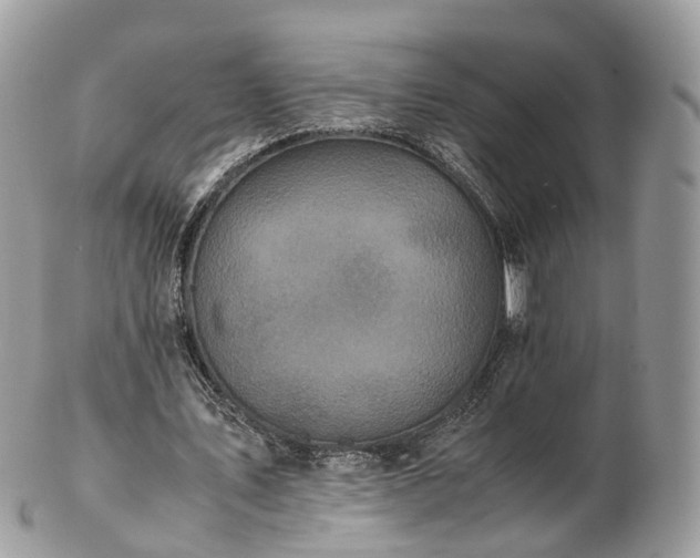 X0000102840579200808251158