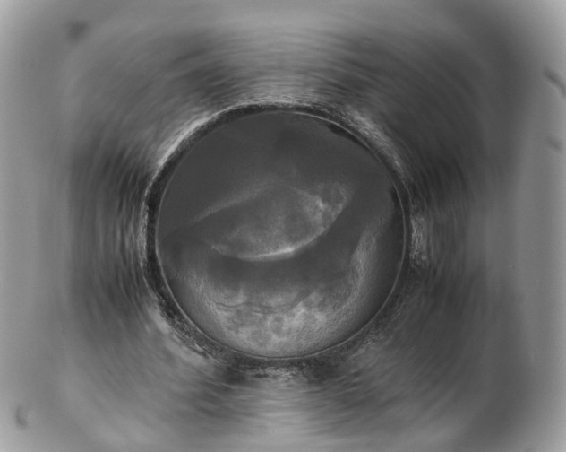 X0000102840580200808251158