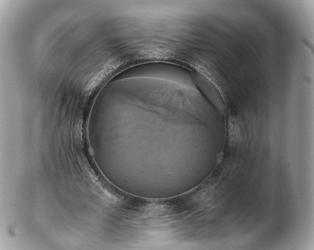 X0000102840581200808251158