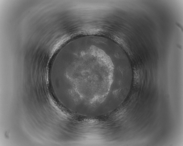 X0000102840582200808251158