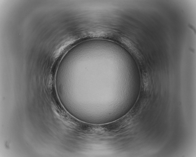 X0000102840583200808251158