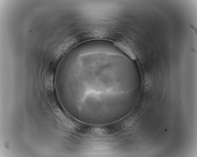 X0000102840585200808251158