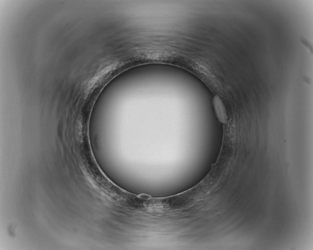 X0000102840587200808251158