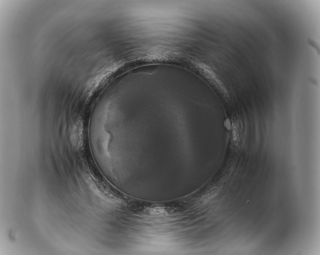 X0000102840588200808251158