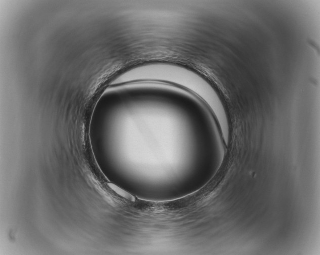 X0000102840589200808251158