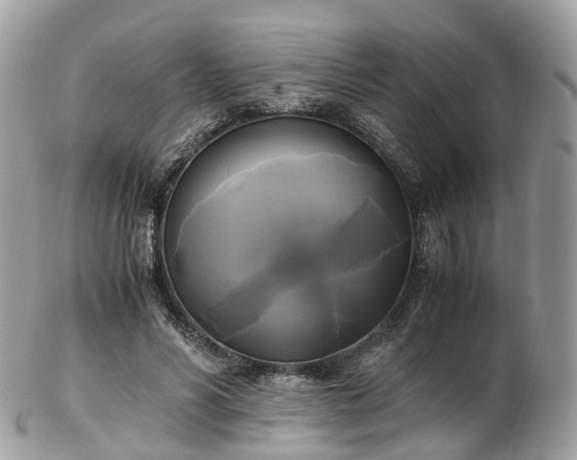 X0000102840590200808251157