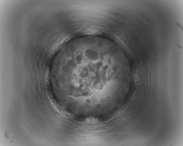 X0000102840591200808251157