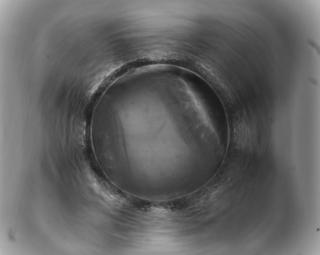 X0000102840592200808251157