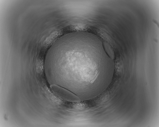 X0000102840593200808251157